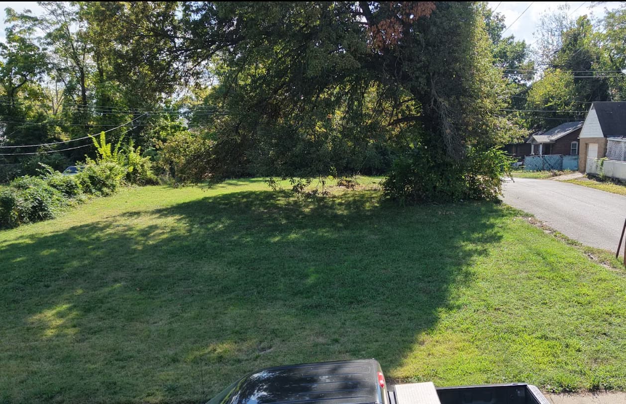 "Lant at 6224 Greer Ave, Saint Louis, MO"