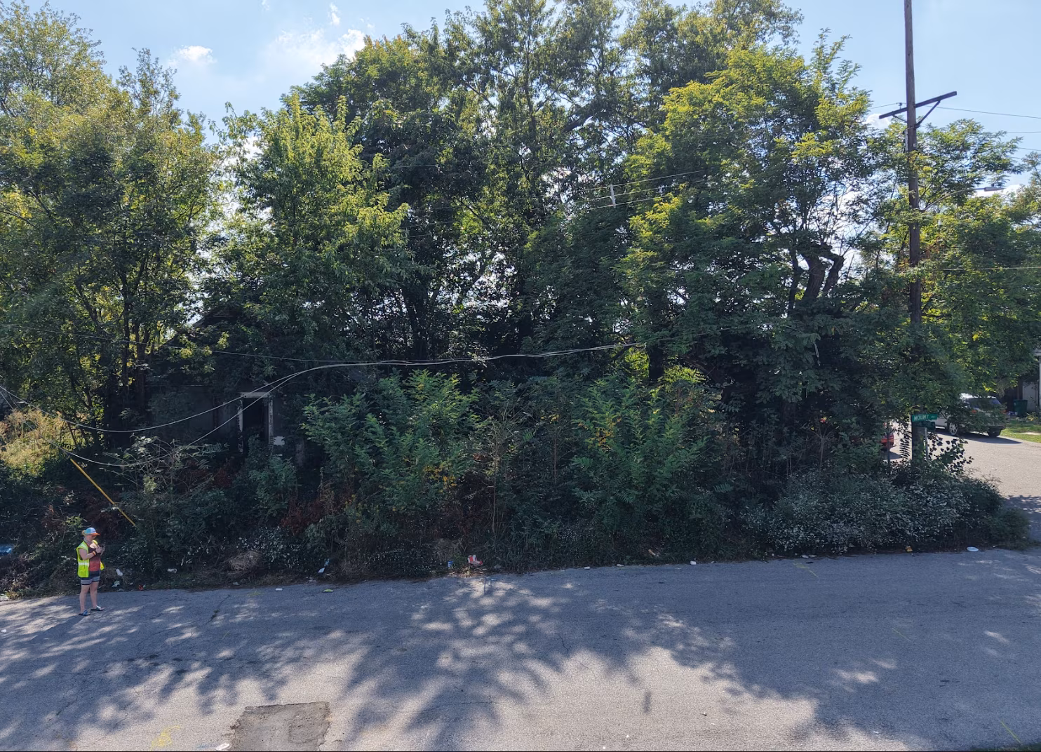 Land for sale at 6428 Mount Ave, Hillsdale, MO 63121